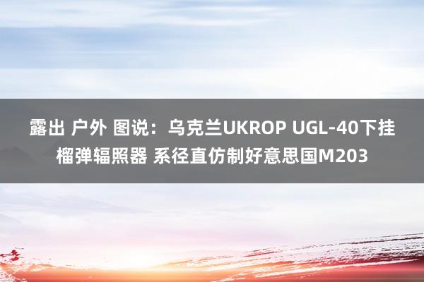 露出 户外 图说：乌克兰UKROP UGL-40下挂榴弹辐照器 系径直仿制好意思国M203