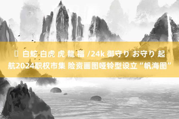 ✨白蛇 白虎 虎 龍 福 /24k 御守り お守り 起航2024职权市集 险资画图哑铃型设立“帆海图”