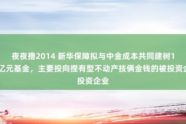 夜夜撸2014 新华保障拟与中金成本共同建树100亿元基金，主要投向捏有型不动产技俩金钱的被投资企业