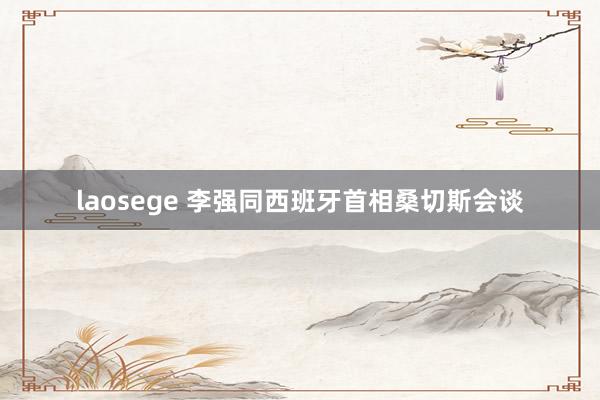 laosege 李强同西班牙首相桑切斯会谈