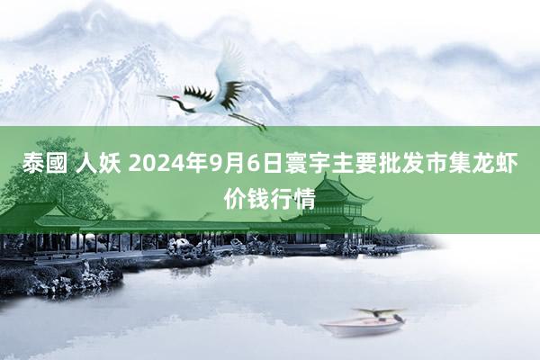 泰國 人妖 2024年9月6日寰宇主要批发市集龙虾价钱行情