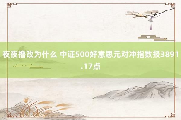 夜夜撸改为什么 中证500好意思元对冲指数报3891.17点