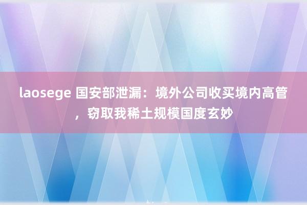 laosege 国安部泄漏：境外公司收买境内高管，窃取我稀土规模国度玄妙