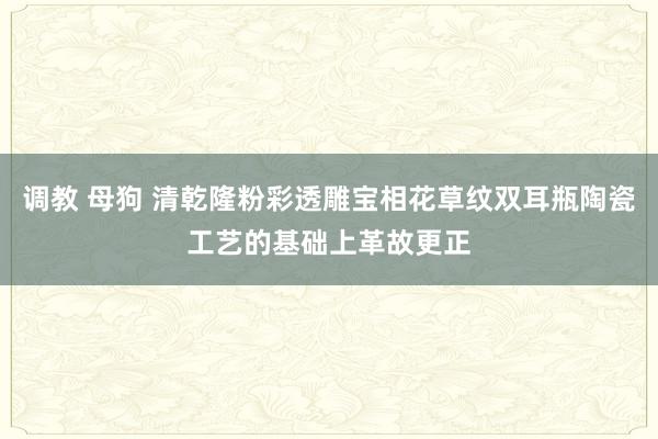 调教 母狗 清乾隆粉彩透雕宝相花草纹双耳瓶陶瓷工艺的基础上革故更正