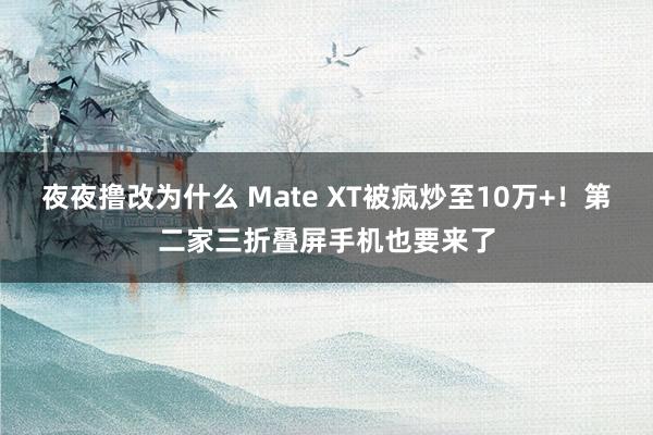 夜夜撸改为什么 Mate XT被疯炒至10万+！第二家三折叠屏手机也要来了