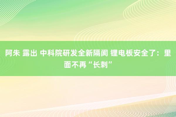 阿朱 露出 中科院研发全新隔阂 锂电板安全了：里面不再“长刺”