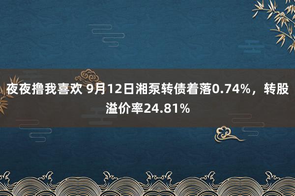 夜夜撸我喜欢 9月12日湘泵转债着落0.74%，转股溢价率24.81%