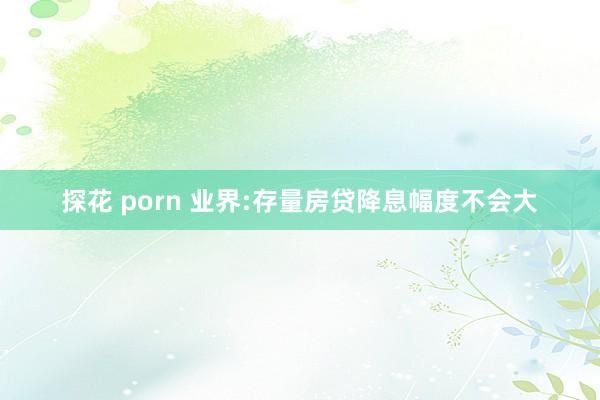 探花 porn 业界:存量房贷降息幅度不会大