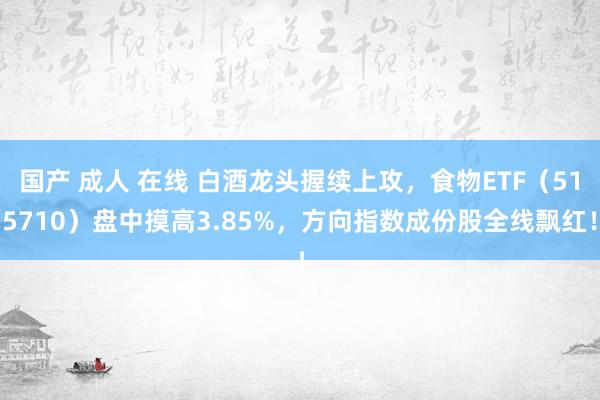 国产 成人 在线 白酒龙头握续上攻，食物ETF（515710）盘中摸高3.85%，方向指数成份股全线飘红！