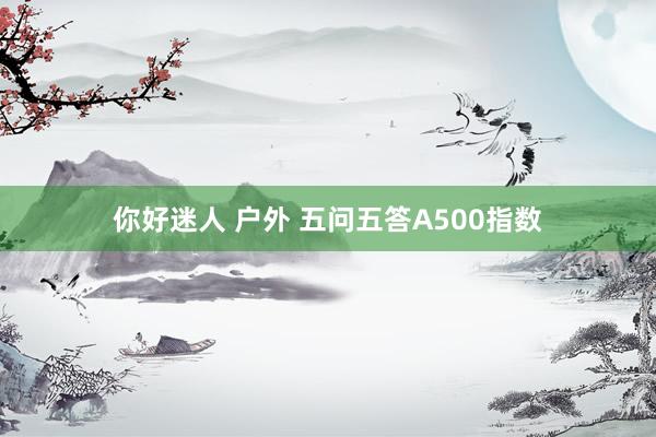 你好迷人 户外 五问五答A500指数