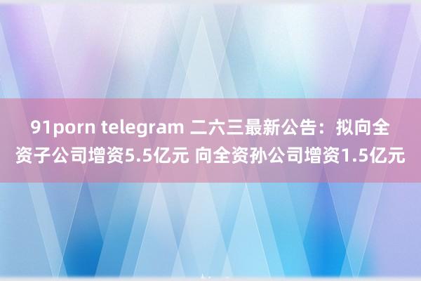 91porn telegram 二六三最新公告：拟向全资子公司增资5.5亿元 向全资孙公司增资1.5亿元