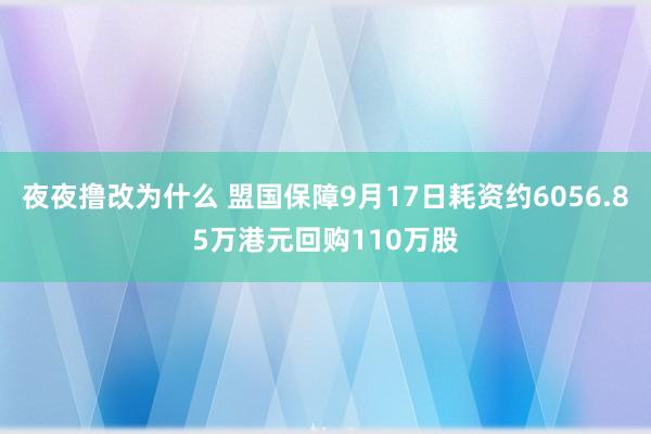 夜夜撸改为什么 盟国保障9月17日耗资约6056.85万港元回购110万股