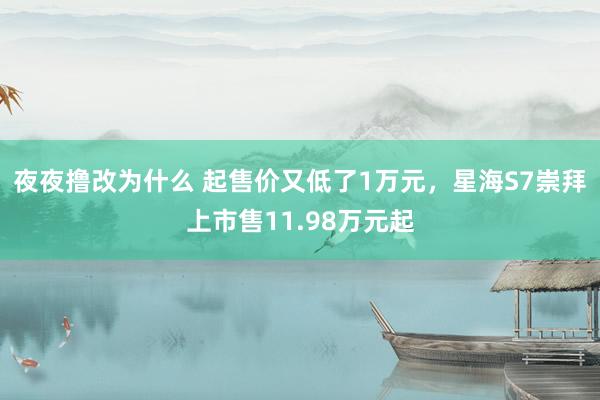 夜夜撸改为什么 起售价又低了1万元，星海S7崇拜上市售11.98万元起