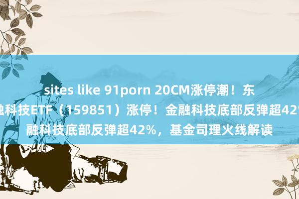 sites like 91porn 20CM涨停潮！东方资产天量成交！金融科技ETF（159851）涨停！金融科技底部反弹超42%，基金司理火线解读