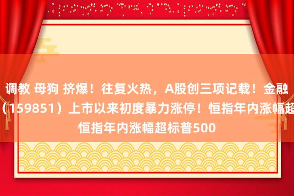 调教 母狗 挤爆！往复火热，A股创三项记载！金融科技ETF（159851）上市以来初度暴力涨停！恒指年内涨幅超标普500