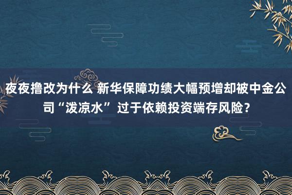 夜夜撸改为什么 新华保障功绩大幅预增却被中金公司“泼凉水” 过于依赖投资端存风险？