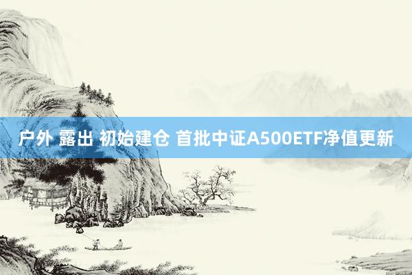 户外 露出 初始建仓 首批中证A500ETF净值更新