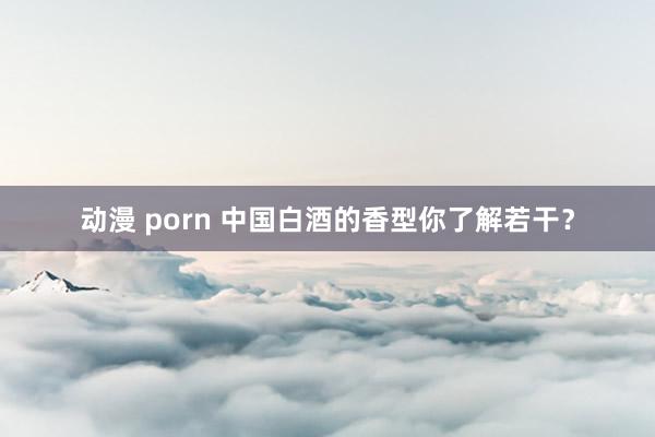 动漫 porn 中国白酒的香型你了解若干？