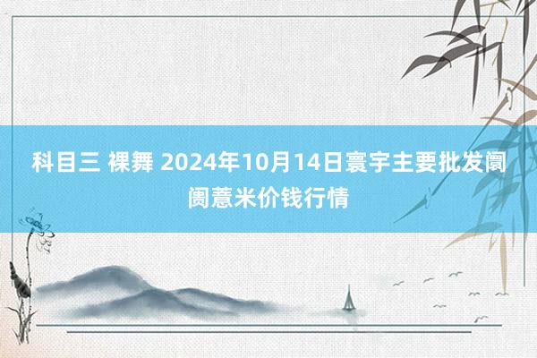 科目三 裸舞 2024年10月14日寰宇主要批发阛阓薏米价钱行情