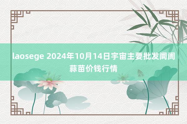 laosege 2024年10月14日宇宙主要批发阛阓蒜苗价钱行情