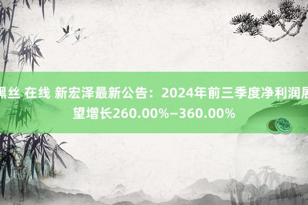 黑丝 在线 新宏泽最新公告：2024年前三季度净利润展望增长260.00%—360.00%