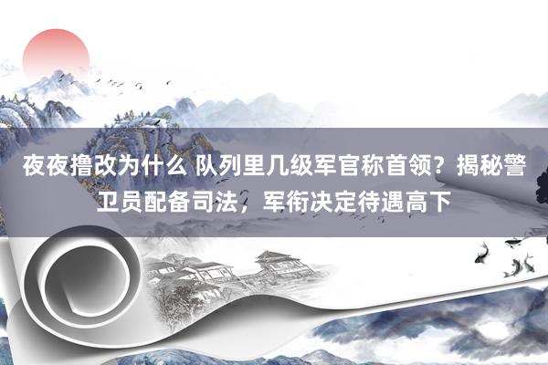 夜夜撸改为什么 队列里几级军官称首领？揭秘警卫员配备司法，军衔决定待遇高下