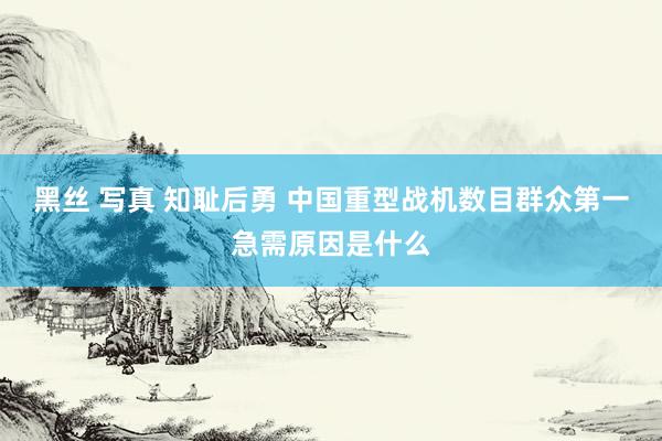 黑丝 写真 知耻后勇 中国重型战机数目群众第一急需原因是什么