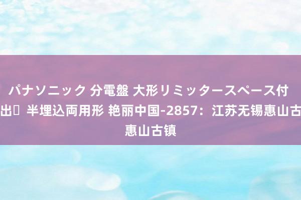 パナソニック 分電盤 大形リミッタースペース付 露出・半埋込両用形 艳丽中国-2857：江苏无锡惠山古镇