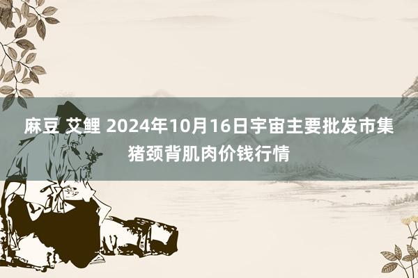 麻豆 艾鲤 2024年10月16日宇宙主要批发市集猪颈背肌肉价钱行情