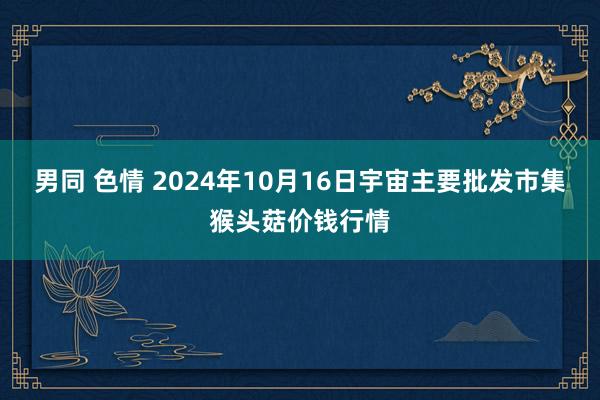 男同 色情 2024年10月16日宇宙主要批发市集猴头菇价钱行情