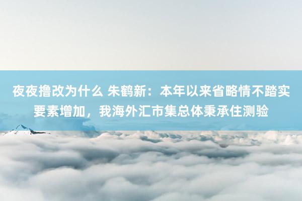 夜夜撸改为什么 朱鹤新：本年以来省略情不踏实要素增加，我海外汇市集总体秉承住测验