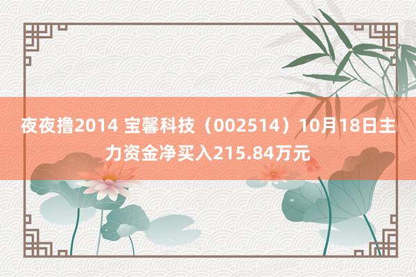 夜夜撸2014 宝馨科技（002514）10月18日主力资金净买入215.84万元