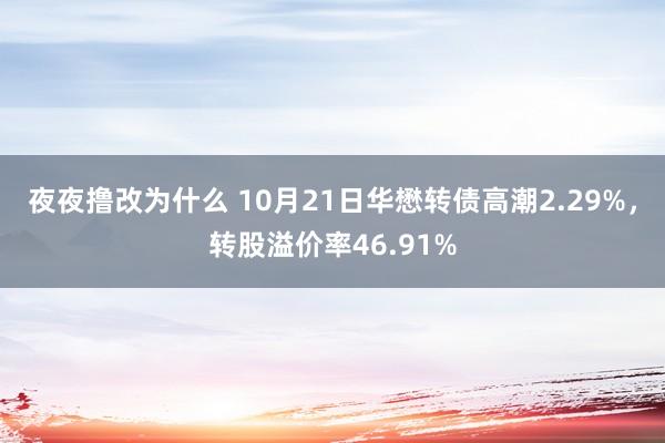 夜夜撸改为什么 10月21日华懋转债高潮2.29%，转股溢价率46.91%