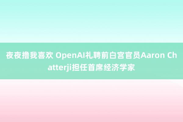 夜夜撸我喜欢 OpenAI礼聘前白宫官员Aaron Chatterji担任首席经济学家