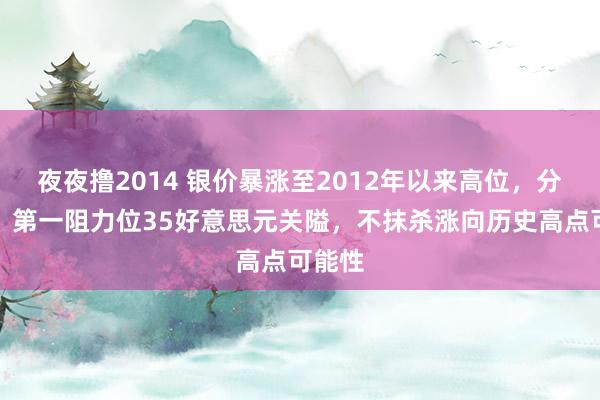 夜夜撸2014 银价暴涨至2012年以来高位，分析师：第一阻力位35好意思元关隘，不抹杀涨向历史高点可能性