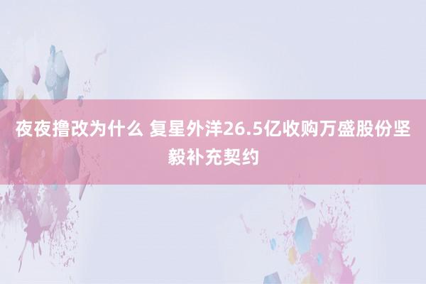 夜夜撸改为什么 复星外洋26.5亿收购万盛股份坚毅补充契约