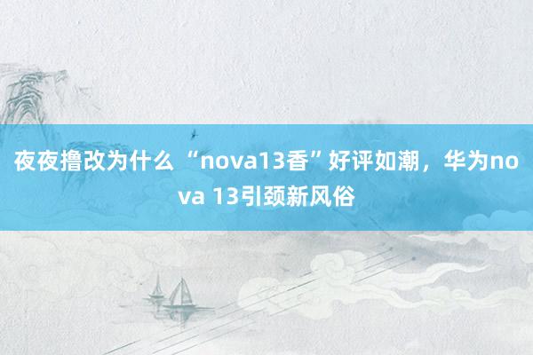 夜夜撸改为什么 “nova13香”好评如潮，华为nova 13引颈新风俗