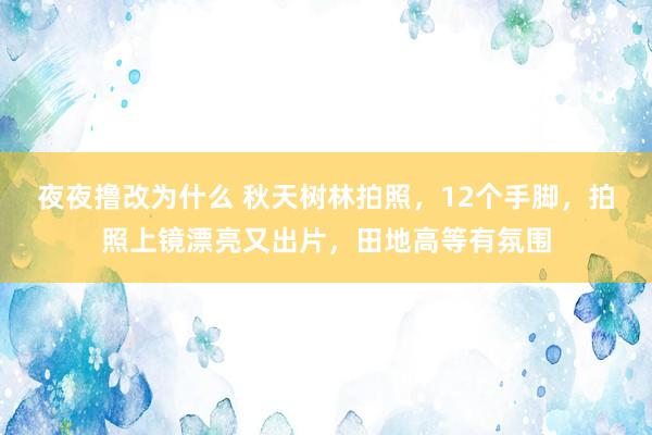 夜夜撸改为什么 秋天树林拍照，12个手脚，拍照上镜漂亮又出片，田地高等有氛围