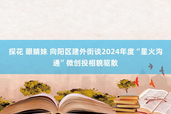 探花 眼睛妹 向阳区建外街谈2024年度“星火沟通”微创投相貌驱散