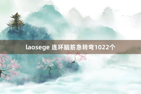 laosege 连环脑筋急转弯1022个