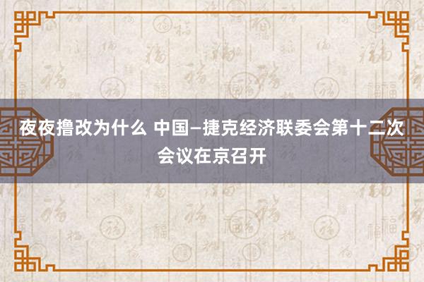 夜夜撸改为什么 中国—捷克经济联委会第十二次会议在京召开