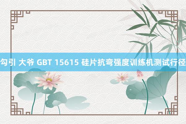 勾引 大爷 GBT 15615 硅片抗弯强度训练机测试行径