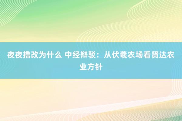 夜夜撸改为什么 中经辩驳：从伏羲农场看贤达农业方针