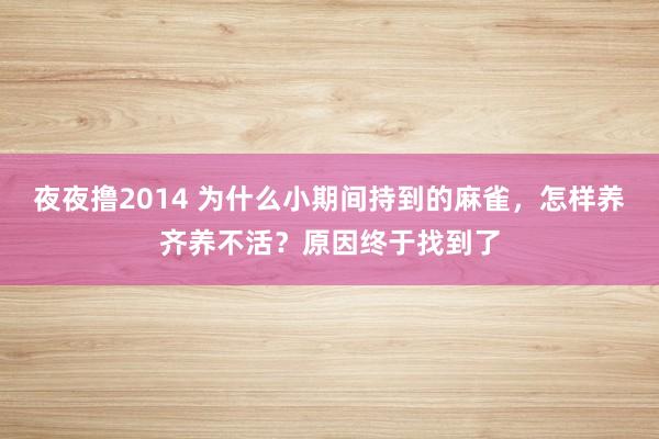 夜夜撸2014 为什么小期间持到的麻雀，怎样养齐养不活？原因终于找到了