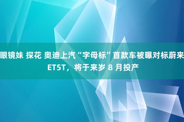 眼镜妹 探花 奥迪上汽“字母标”首款车被曝对标蔚来 ET5T，将于来岁 8 月投产