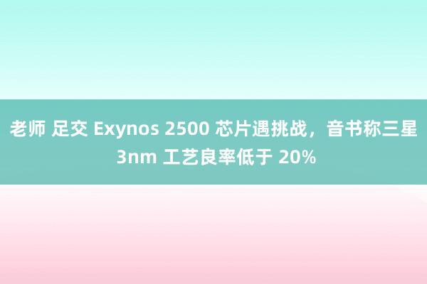 老师 足交 Exynos 2500 芯片遇挑战，音书称三星 3nm 工艺良率低于 20%