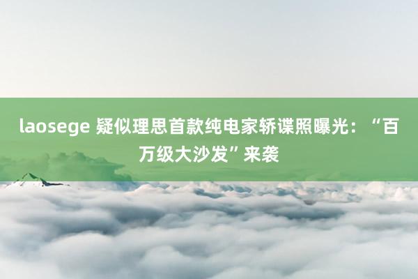 laosege 疑似理思首款纯电家轿谍照曝光：“百万级大沙发”来袭