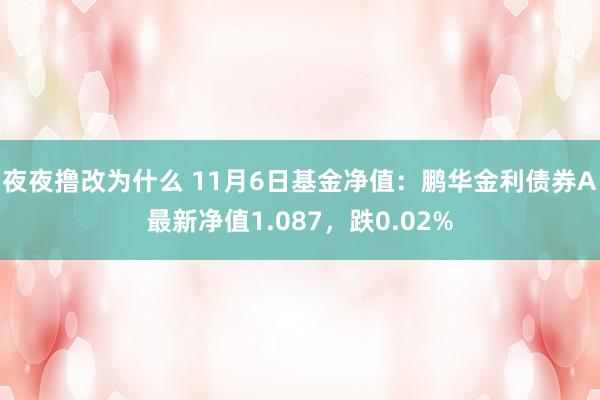 夜夜撸改为什么 11月6日基金净值：鹏华金利债券A最新净值1.087，跌0.02%