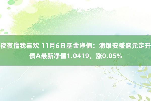 夜夜撸我喜欢 11月6日基金净值：浦银安盛盛元定开债A最新净值1.0419，涨0.05%