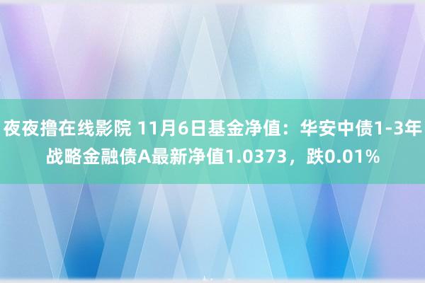 夜夜撸在线影院 11月6日基金净值：华安中债1-3年战略金融债A最新净值1.0373，跌0.01%